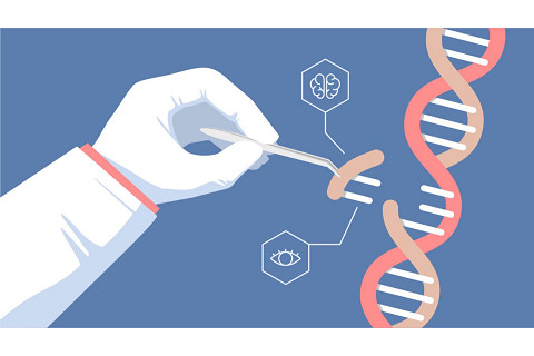 Công nghệ gen (Genetic Engineering) là gì? Đặc điểm và tranh cãi