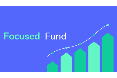 Quĩ đầu tư tập trung (Focused Fund) là gì? Đặc điểm các Quĩ đầu tư tập trung