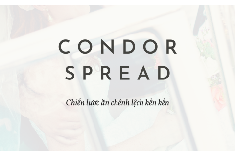 Chiến lược ăn chênh lệch kền kền (Condor Spread) là gì?