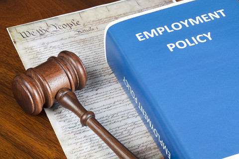 Chính sách việc làm (Employment policy) là gì? Vai trò và vị trí