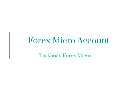 Tài khoản Forex Micro (Forex Micro Account) là gì? Hiểu về Tài khoản Forex Micro