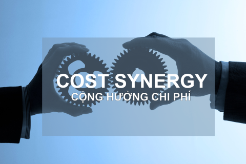 Cộng hưởng chi phí (Cost Synergy) là gì? Đặc điểm