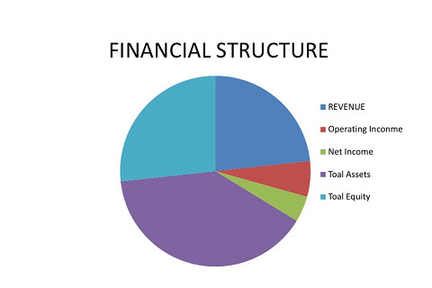 Cấu trúc tài chính (Financial structure) là gì? Đặc điểm