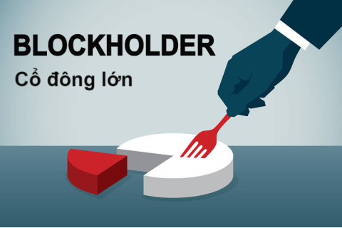 Cổ đông lớn (Blockholder) là gì? Đặc điểm