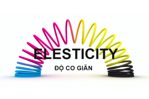 Độ co giãn (Elasticity) của hàng hóa là gì? Đặc điểm và ví dụ thực tế