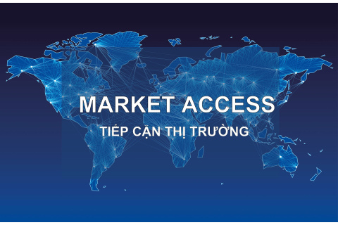 Tiếp cận thị trường (Market Access) là gì? Đặc điểm và vai trò của tổ chức WTO