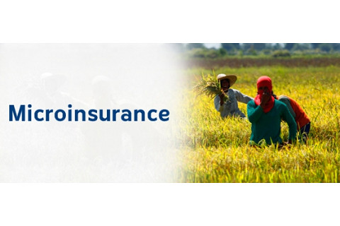 Bảo hiểm vi mô (Microinsurance) là gì? Đặc điểm