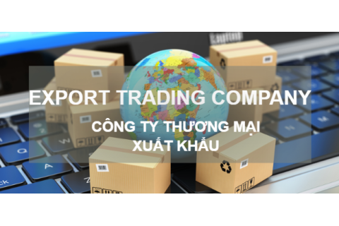 Công ty thương mại xuất khẩu (Export Trading Company) là gì? Đặc điểm, lợi ích và hạn chế