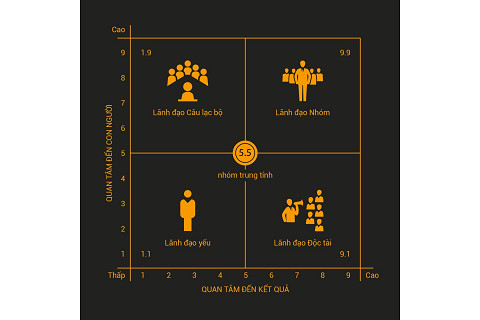 Sơ đồ mạng lưới lãnh đạo (Leadership Grid) là gì? Đặc điểm và phân loại