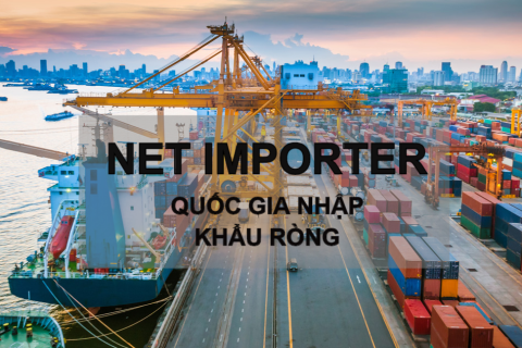 Quốc gia nhập khẩu ròng (Net Importer) là gì? Các yếu tố ảnh hưởng