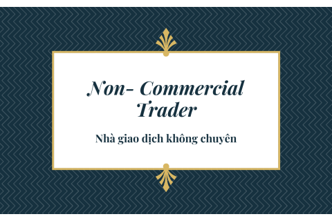 Nhà giao dịch không chuyên (Non-commercial trader) là gì?