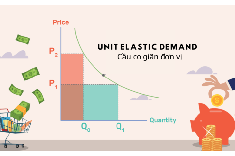 Cầu co giãn đơn vị (Unit Elastic Demand) là gì? Ý nghĩa và ví dụ