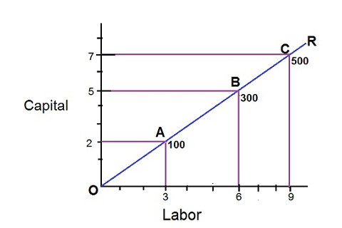 Hàm sản xuất với hệ số cố định (Fixed Proportion Production Function) là gì?