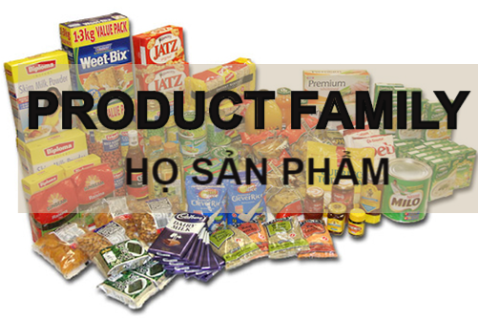 Họ sản phẩm (Product Family) là gì? Đặc điểm và ví dụ