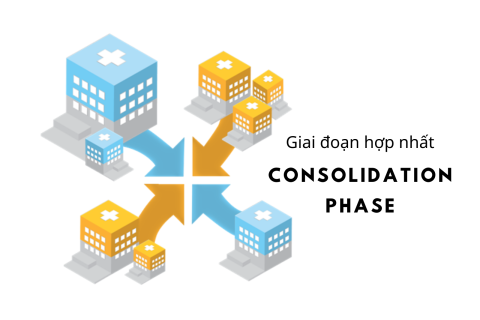 Giai đoạn hợp nhất (Consolidation Phase) là gì? Thuộc giai đoạn nào của vòng đời ngành công nghiệp?