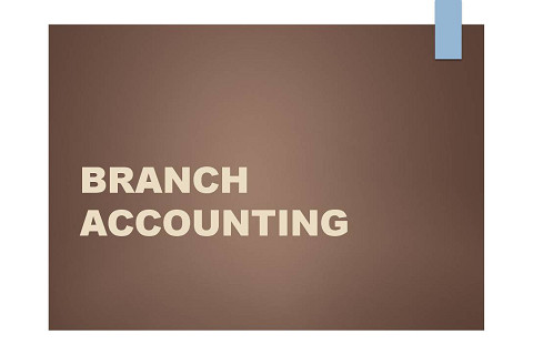 Kế toán chi nhánh (Branch accounting) là gì? Đặc điểm