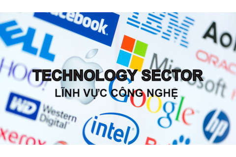 Lĩnh vực công nghệ (Technology Sector) là gì? Đặc điểm