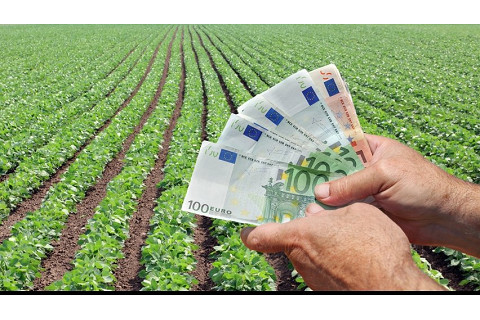 Tín dụng nông nghiệp (Agricultural Credit) là gì? Ý nghĩa