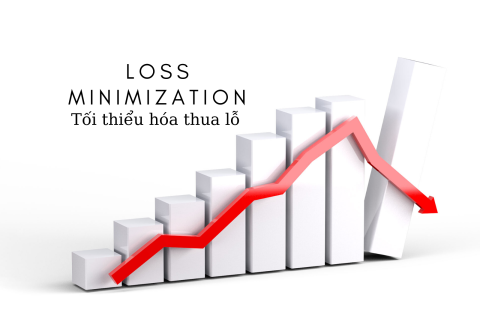 Tối thiểu hóa thua lỗ (Loss Minimization) là gì?