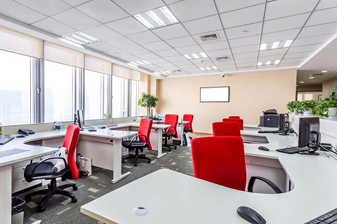 Môi trường làm việc nơi công sở (Workplace environment) là gì?