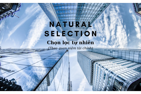 Chọn lọc tự nhiên (Natural Selection) theo quan niệm tài chính là gì?