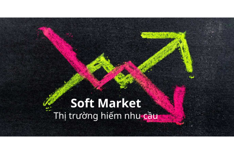 Thị trường hiếm nhu cầu (Soft Market) là gì? Những ảnh hưởng của thị trường hiếm nhu cầu