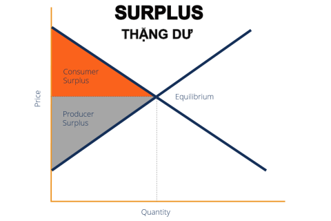 Thặng dư (Surplus) là gì? Đặc điểm, nguyên nhân xảy ra và kết quả