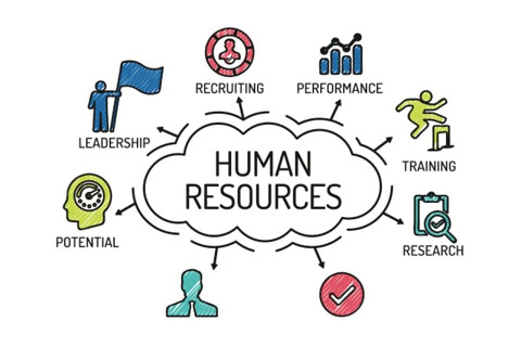 Nhân sự (Human Resources - HR) là bộ phận nào trong công ty? Đặc điểm và vai trò