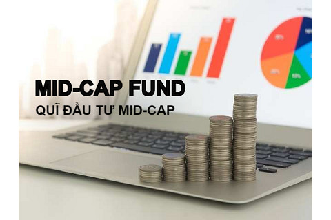 Quĩ đầu tư Mid-cap (Mid-Cap Fund) là gì? Đặc điểm và lợi ích