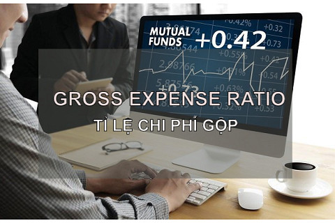 Tỉ lệ chi phí gộp (Gross Expense Ratio) là gì? Đặc điểm và ví dụ