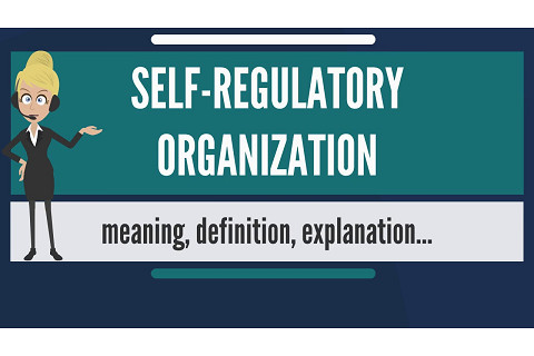 Tổ chức tự điều chỉnh (Self-regulatory organization - SRO) là gì? Đặc điểm