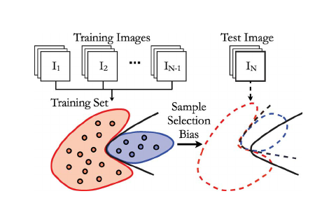 Thiên lệch trong chọn mẫu (Sample Selection Bias) là gì? Đặc điểm