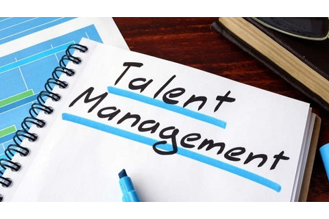 Quản trị tài năng (Talent management) là gì? Vai trò của quản trị tài năng với doanh nghiệp