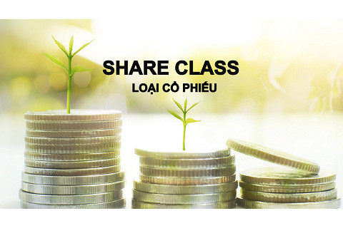 Loại cổ phiếu (Share Class) là gì? Đặc điểm và phân loại