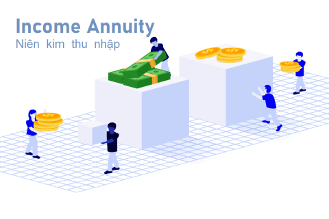 Niên kim thu nhập (Income Annuity) là gì? Đặc điểm và chức năng