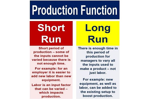 Hàm sản xuất ngắn hạn (Short-run production function) là gì?