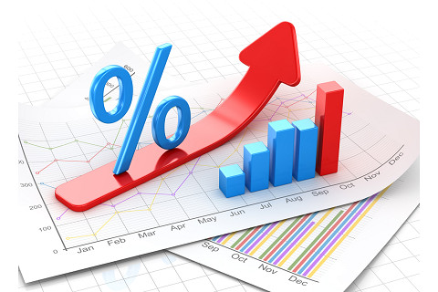 Lãi suất tham chiếu (Reference Rate) là gì? Lãi suất tham chiếu hoạt động như thế nào?