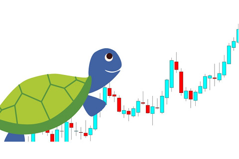 Phương pháp giao dịch con rùa (Turtle trading) là gì? Đặc điểm