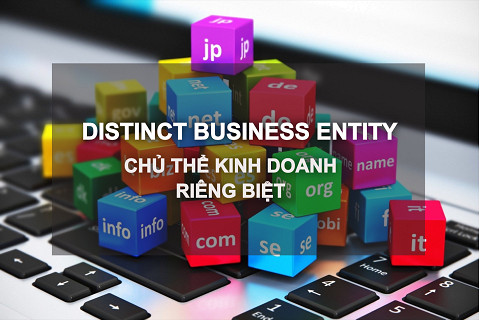 Chủ thể kinh doanh riêng biệt (Distinct Business Entity) là gì? Ưu điểm