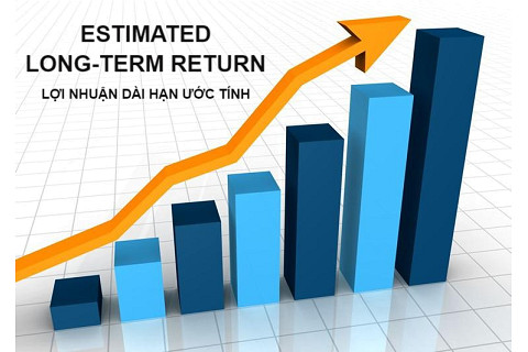 Lợi nhuận dài hạn ước tính (Estimated Long-Term Return) là gì? Đặc điểm và tính toán