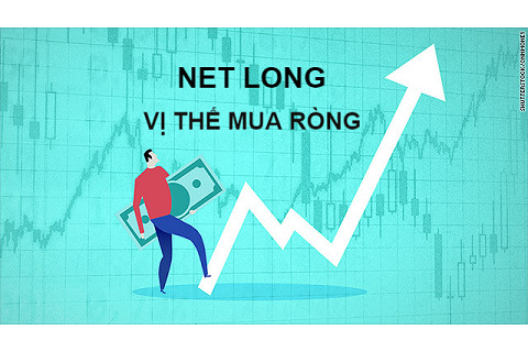 Vị thế mua ròng (Net Long) là gì? Đặc điểm và ví dụ