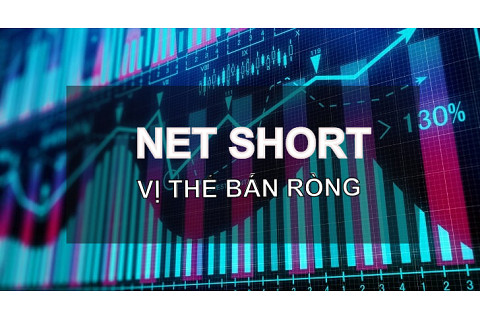 Vị thế bán ròng (Net Short) là gì? Đặc điểm và ví dụ