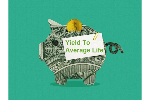 Lợi suất bình quân thời gian sống (Yield To Average Life) là gì? Đặc điểm