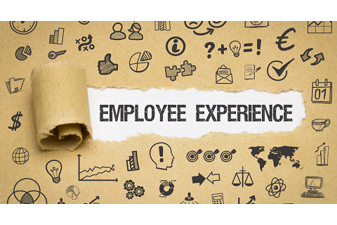 Trải nghiệm nhân viên (Employee Experience) là gì? Tầm quan trọng của trải nghiệm nhân viên