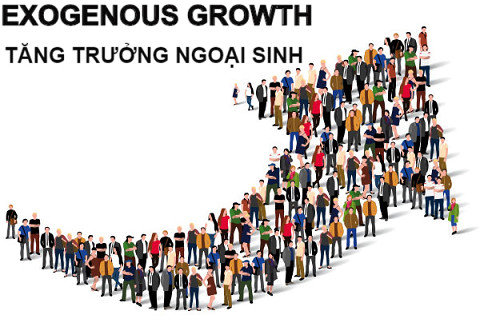 Tăng trưởng ngoại sinh (Exogenous Growth) trong lí thuyết kinh tế tân cổ điển là gì? Đặc điểm