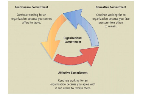 Cam kết tình cảm (Affective commitment) của nhân viên là gì?