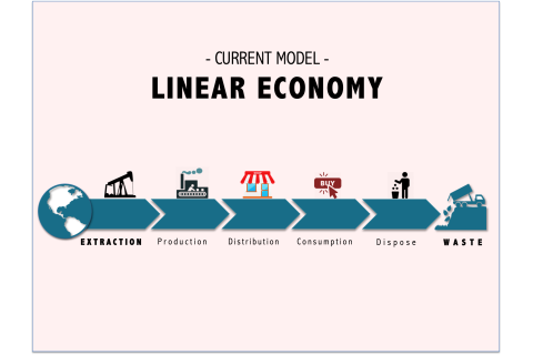 Kinh tế tuyến tính (Linear Economy) là gì? Hậu quả