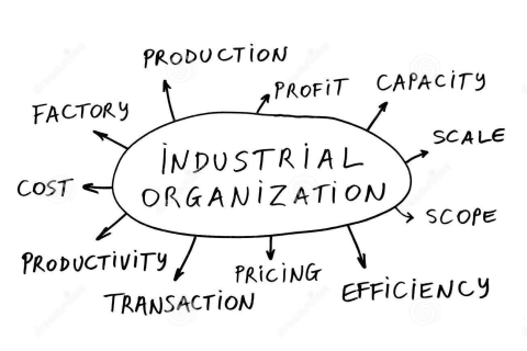 Tổ chức Công nghiệp (Industrial Organization) là gì? Ví dụ về Tổ chức Công nghiệp