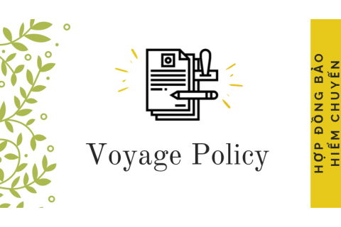 Hợp đồng bảo hiểm chuyến (Voyage Policy) là gì? Nội dung của hợp đồng