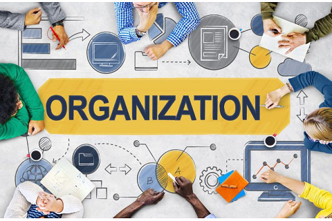 Tổ chức (Organization) là gì? Đặc trưng và phân loại